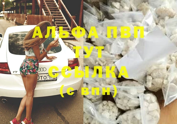 гашик Балахна