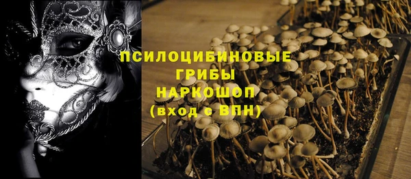 гашик Балахна