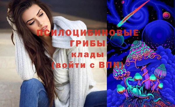Альфа ПВП Балабаново