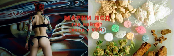 гашик Балахна