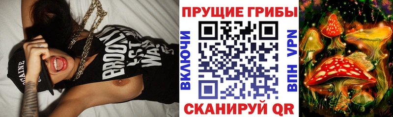 ОМГ ОМГ сайт  Любим  Галлюциногенные грибы ЛСД 